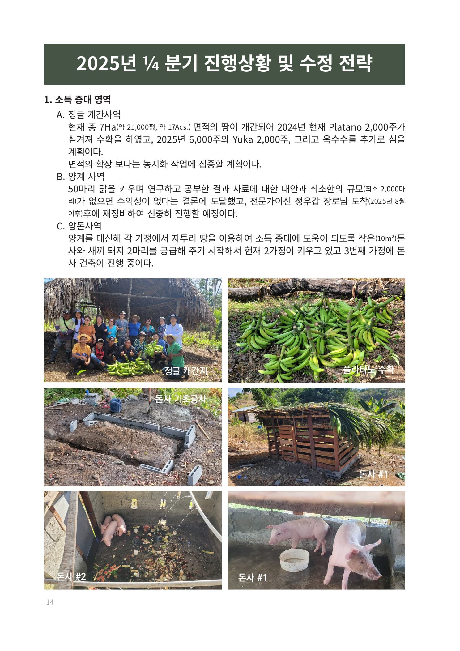 경제자립 5개년 계획 14페이지