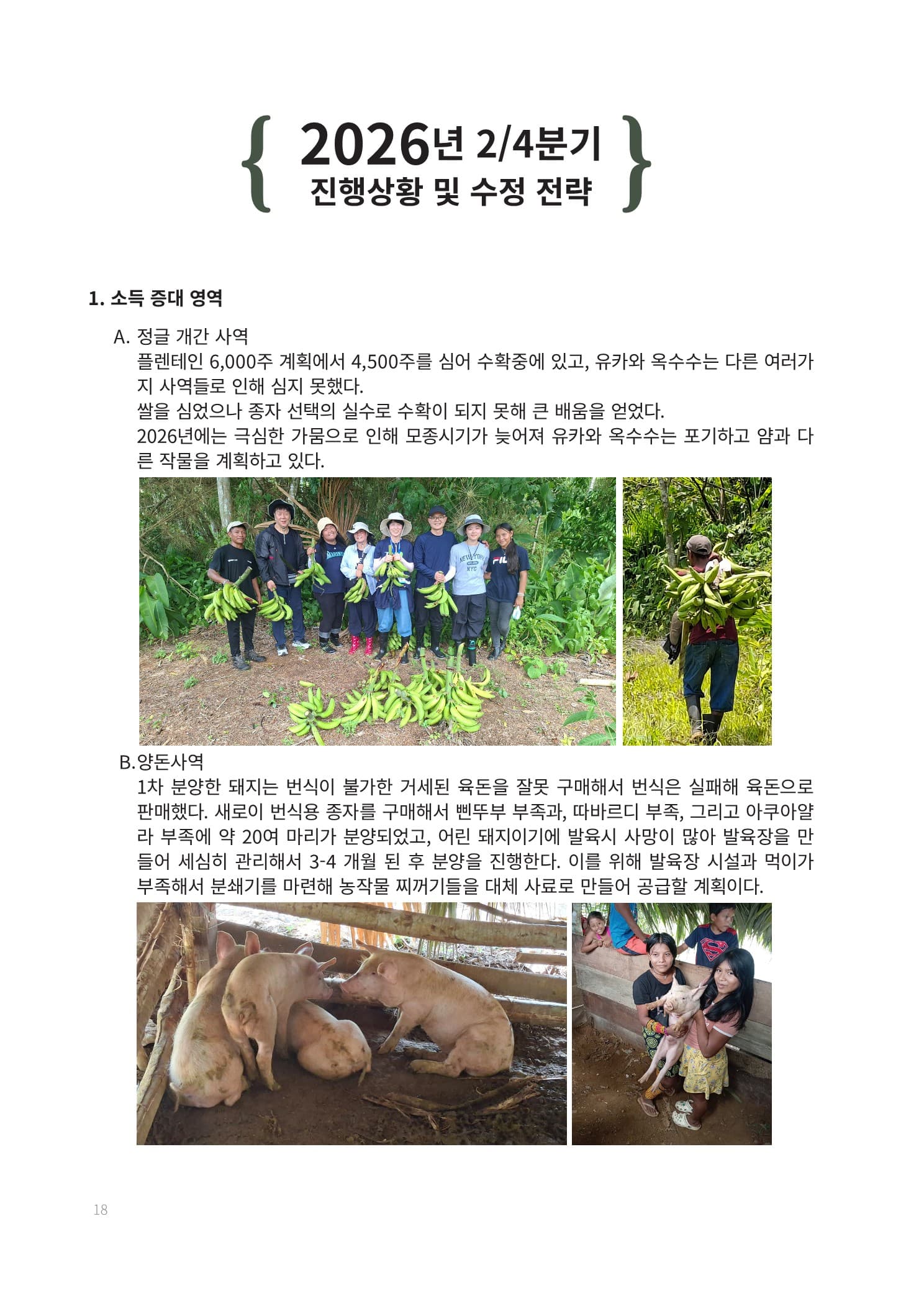 경제자립 5개년 계획 18페이지